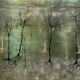 Illustration for article titled The Best Science Visualizations of the Year